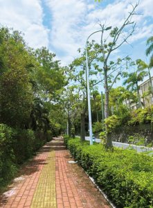 事发路段。受访者供图