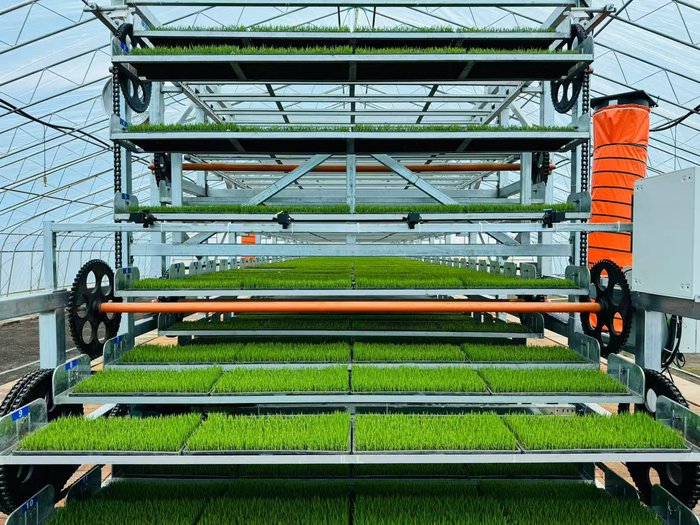 数字化育秧工厂