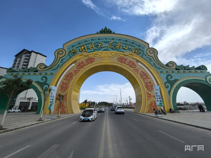 阿图什无花果小镇  （央广网记者丁安  摄）