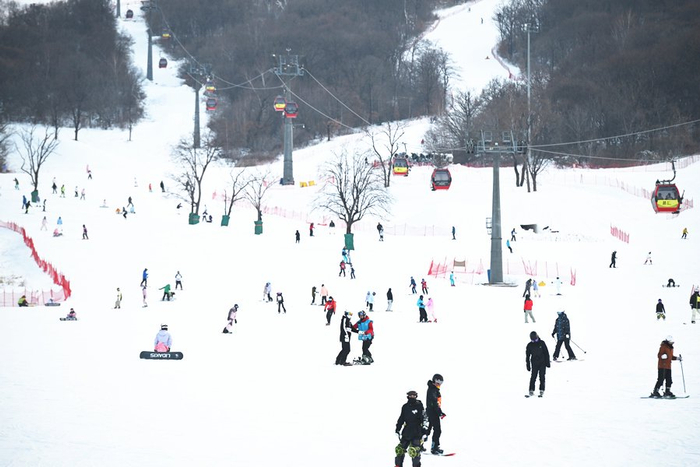 优质的粉雪吸引无数人前来体验不一样的吉林。摄影/李煦