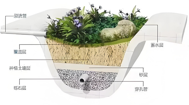 　　图3“雨水花园”结构示意图