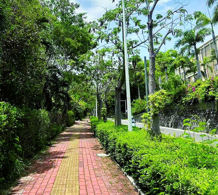     事发路段 （受访者供图）