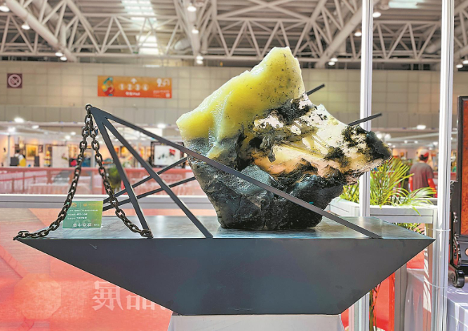 博览会上展出的作品《飞夺泸定桥》