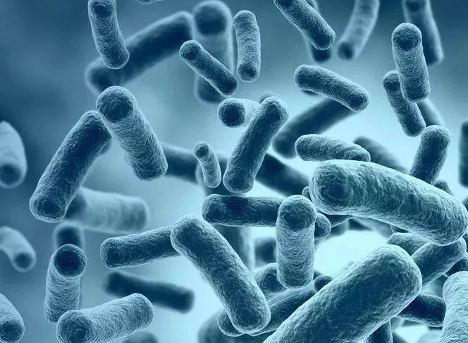 图源：福建疾控