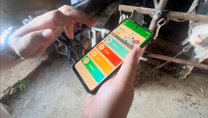 通过手机APP就能够完成投保