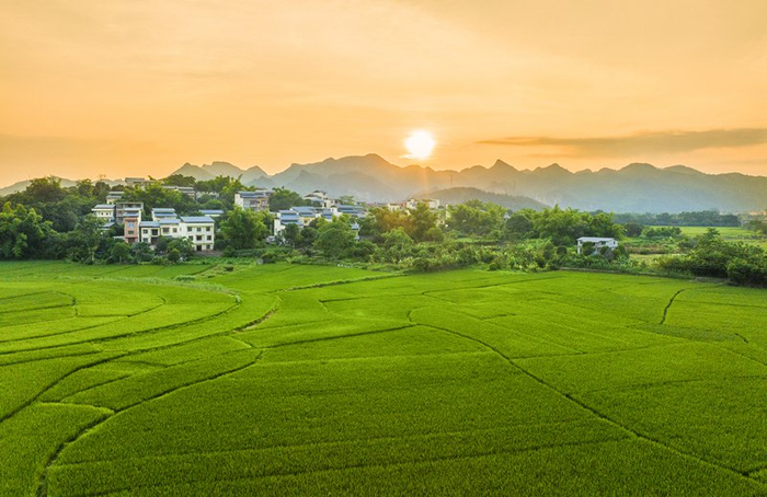 　　宁明县广袤的田野，微风拂过绿油油的稻田翻起层层碧浪，天地间如诗如画。（宁明县纪委监委供  黄文伟/摄）