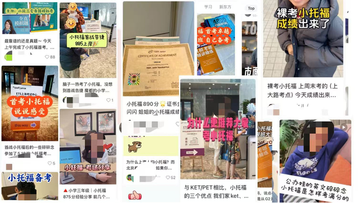 小托福在社交媒体被热议