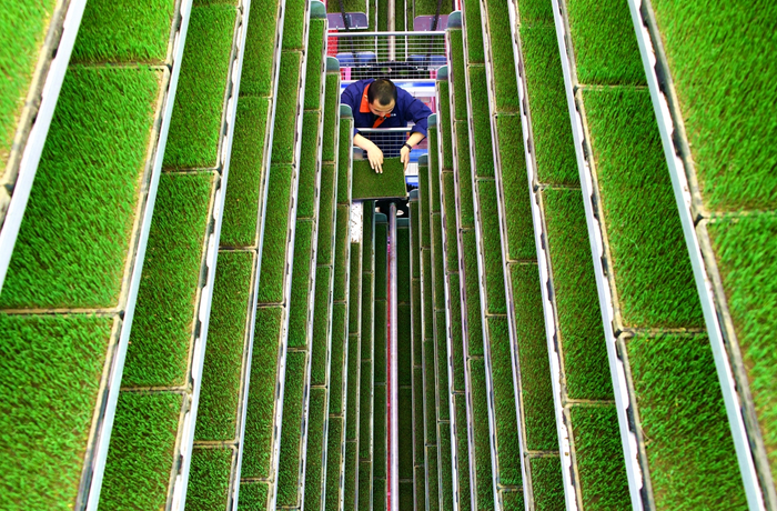 循环立体育秧设备（央广网发  颜子晴  摄）