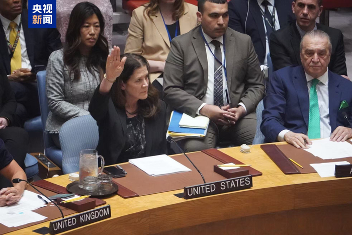 △当地时间6月4日下午，美国常驻联合国代表团临时代办谢伊投出否决票
