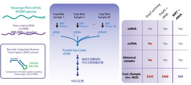 使用BIRT 技术使RNA测序成本降低5倍，来源：Biostate AI