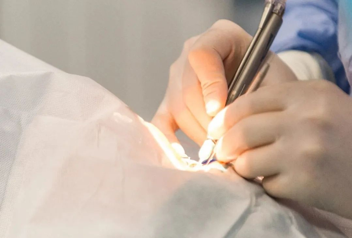 图 / 摄图网，基于VRF协议