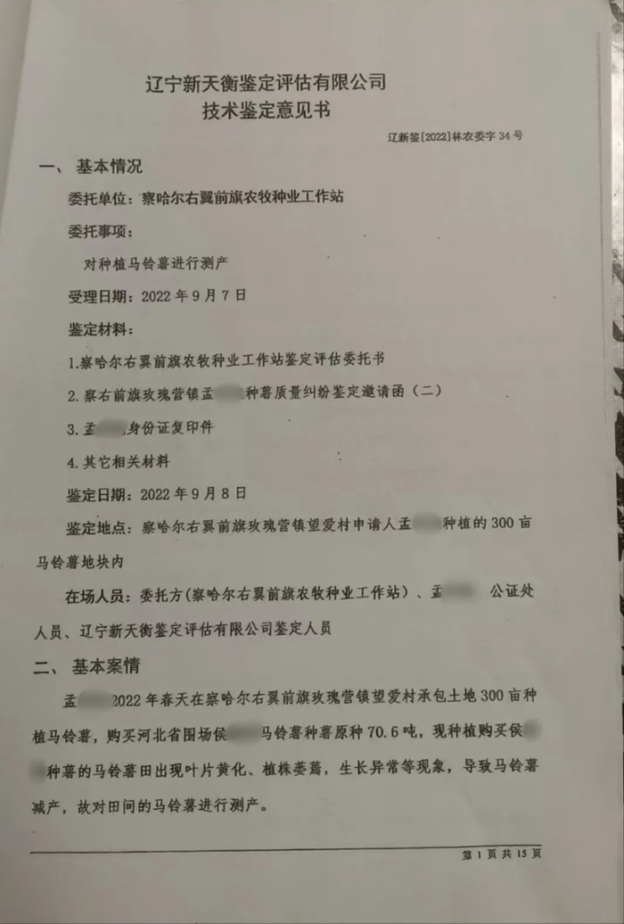 马铃薯病因鉴定报告/受访者供图