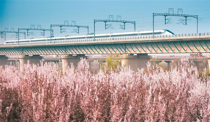一列高铁列车驶过渭河大桥 资料图片