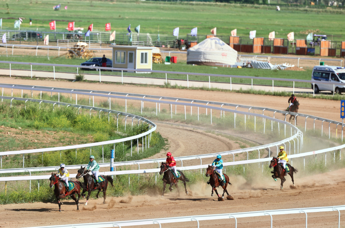 2024年呼和浩特速度赛马常规赛现场。