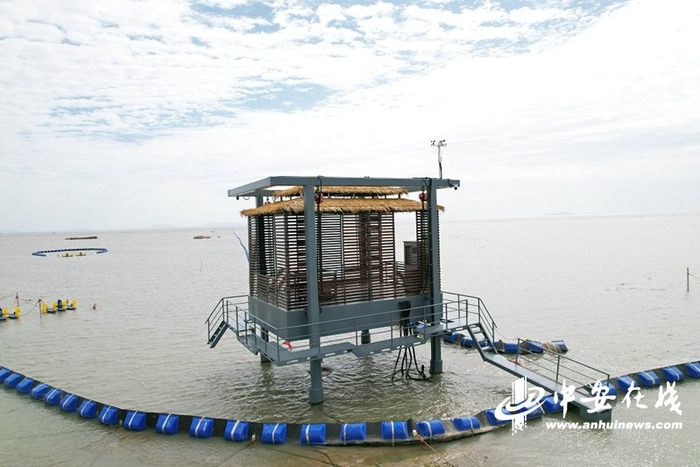 　　深井控藻平台及围隔