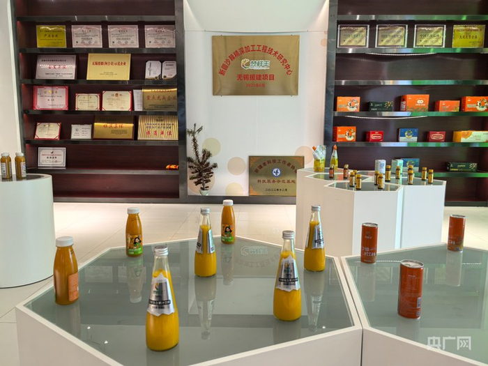 新疆沙棘精深加工工程技术研究中心展厅  （央广网记者丁安  摄）