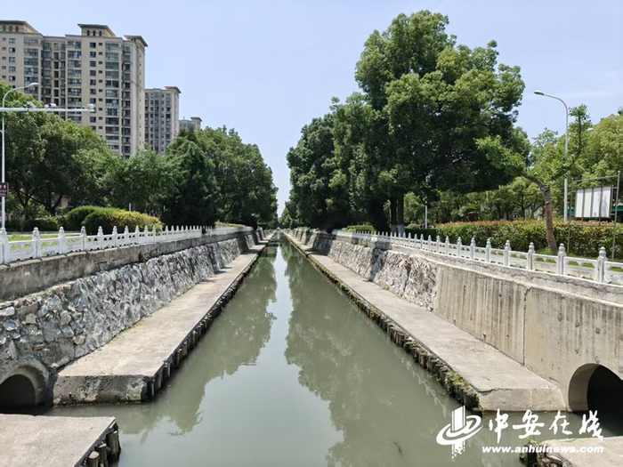 　　巢湖市世纪大道中沟