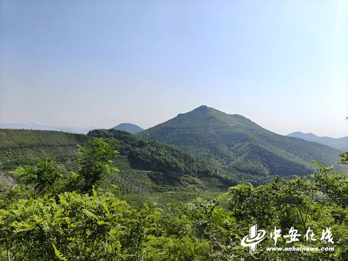 　　庐江县钟山铁矿生态修复现场