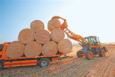 在山东省临沂市郯城县郯城街道田间，农民进行小麦秸秆回收，提高秸秆综合利用率。张春雷摄（人民图片）