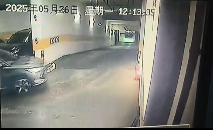 监控视频显示，事发时宠物狗趴在车库拐弯处最终被碾轧。受访者供图