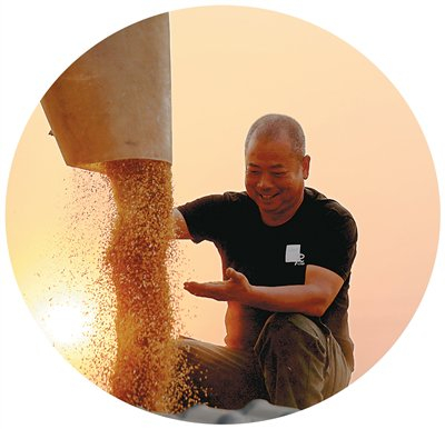 河南省平顶山市宝丰县闹店镇东军营村村民在收获小麦。新华社记者 李嘉南摄