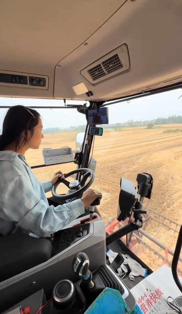陈欣宇正在进行收割作业。受访者供图