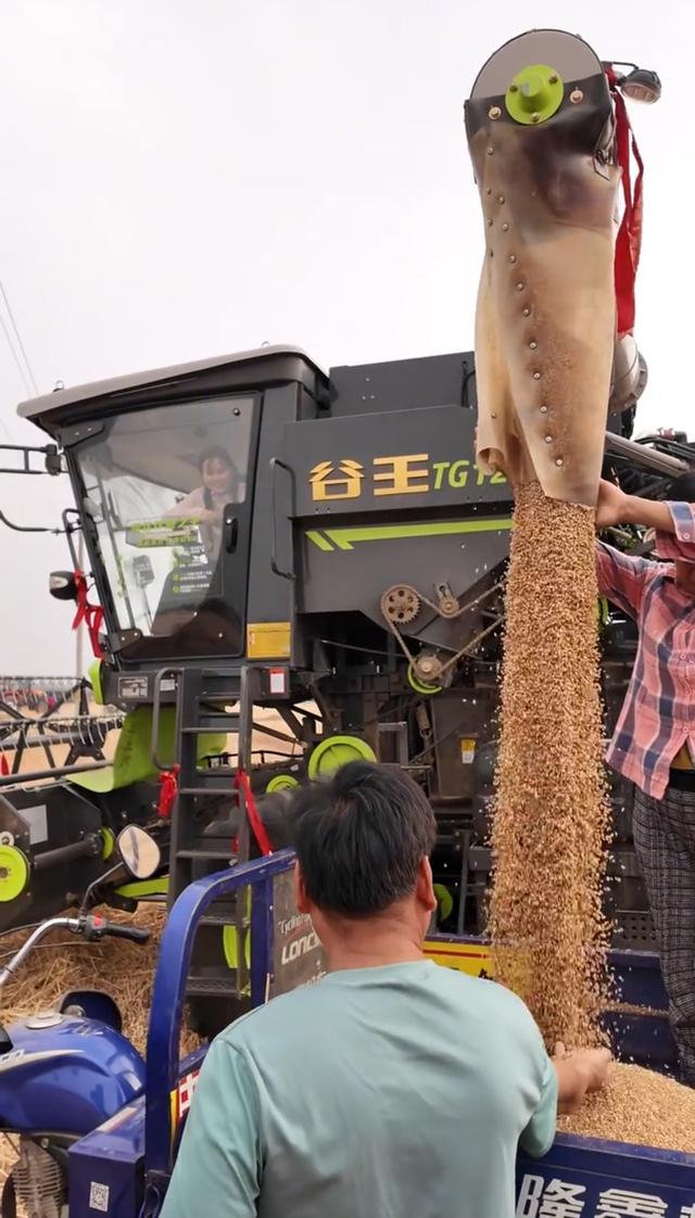 杜梦园坐在车里看着麦子吐出来。受访者供图