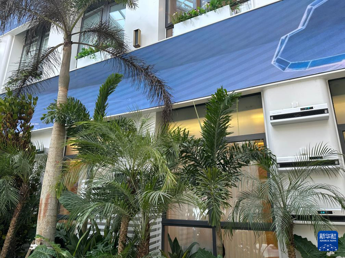 海南梅赛尔医院大厅种满了热带植物并安装了负氧离子生成机。新华社记者 陈凯姿 摄