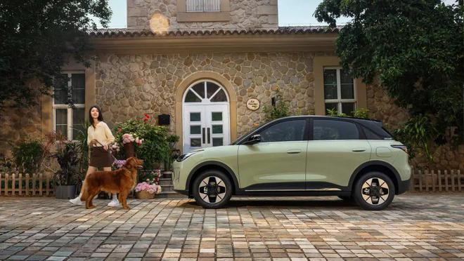 吉利的爆款车型——吉利星愿，拿下了 A0 级市场冠军｜图片来源：吉利银河官网