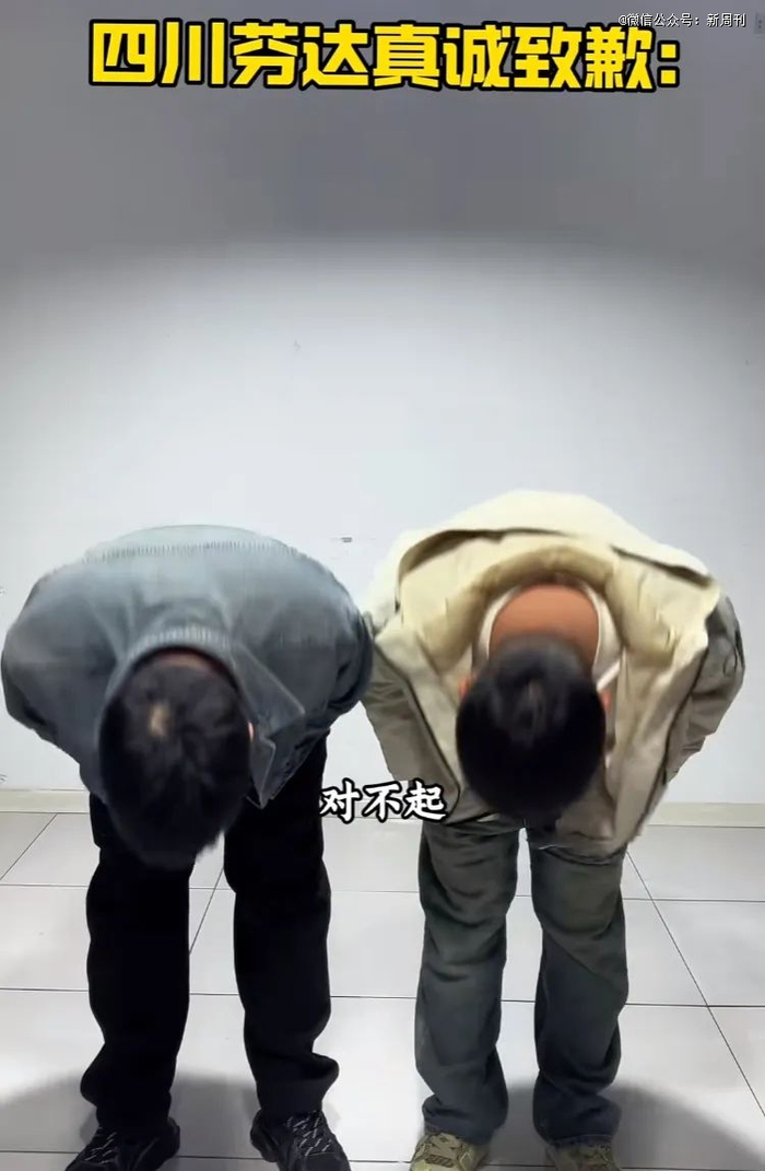 （图/视频截图）