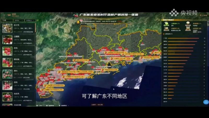 2025年广东荔枝采购导图