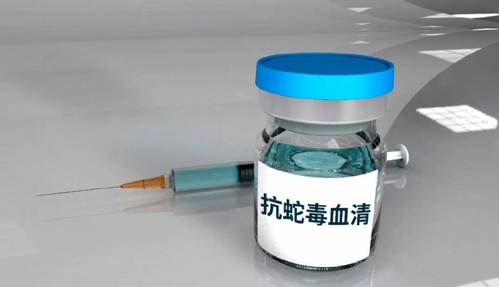 抗蛇毒血清西林瓶和注射器。图/图虫创意