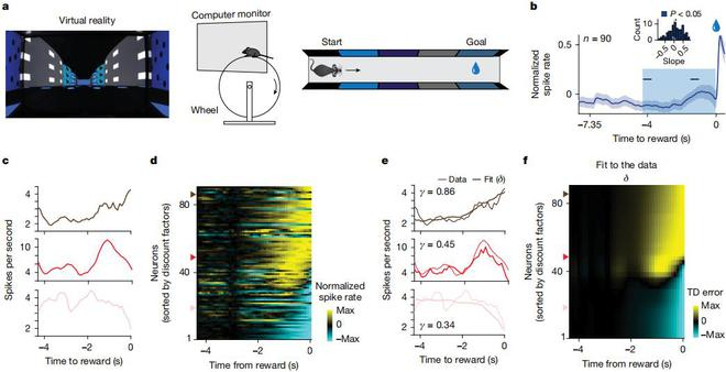 （来源：Nature）