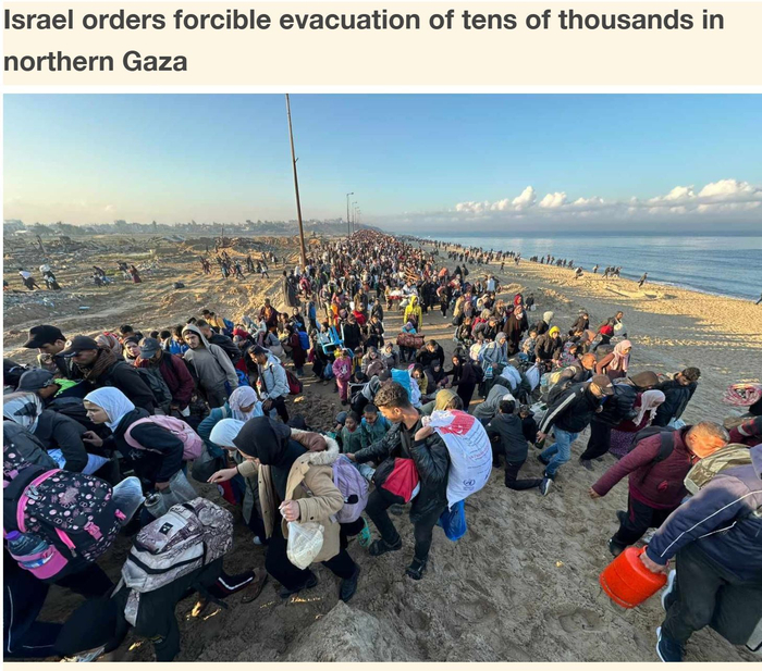 △巴勒斯坦通讯社网站报道截图