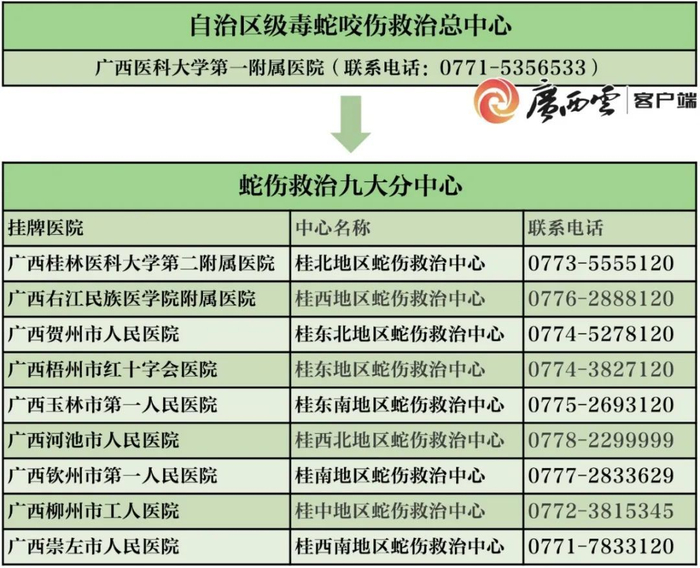 广西蛇伤救治十大中心名单。广西云-广西日报记者 古秀芳 制图