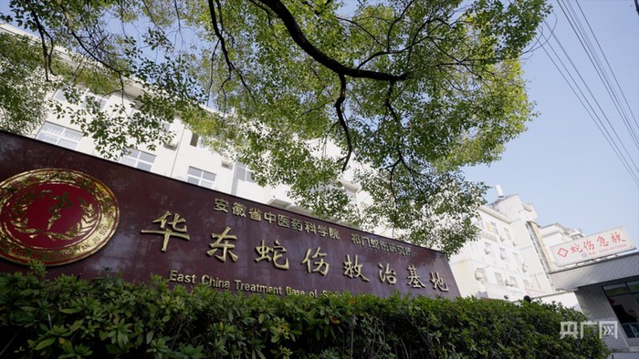 祁门蛇伤研究所  （央广网发  祁门蛇伤研究所供图）