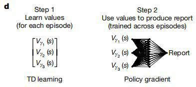（来源：Nature）