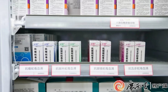目前国内共有4种抗蛇毒血清：抗眼镜蛇毒血清、抗五步蛇毒血清、抗银环蛇毒血清、抗蝮蛇毒血清。广西云-广西日报记者 古秀芳 摄