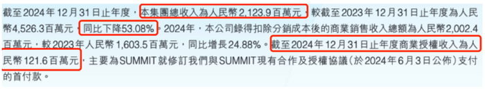 （截图来自2024年年报）