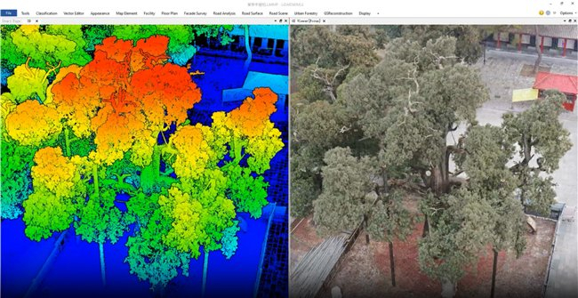 黄帝手植柏高斯点云&3DGS模型