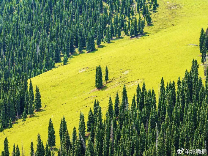 乌鲁木齐菊花台