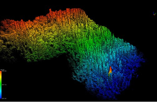 激光雷达技术可以“透视”森林,将树高、树冠大小等信息清晰显示出来