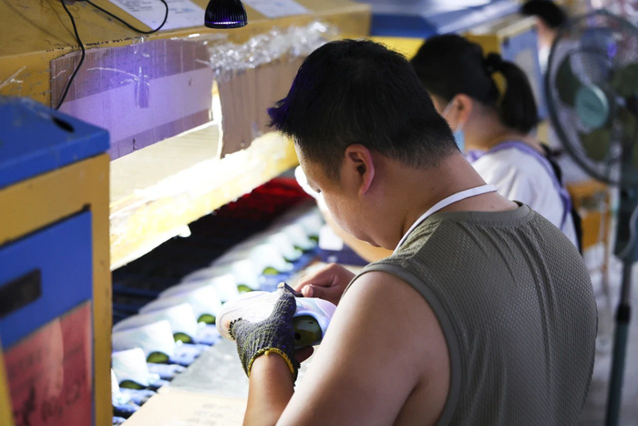 大黄蜂工厂里，工人正在刷胶（摄影：展钊）