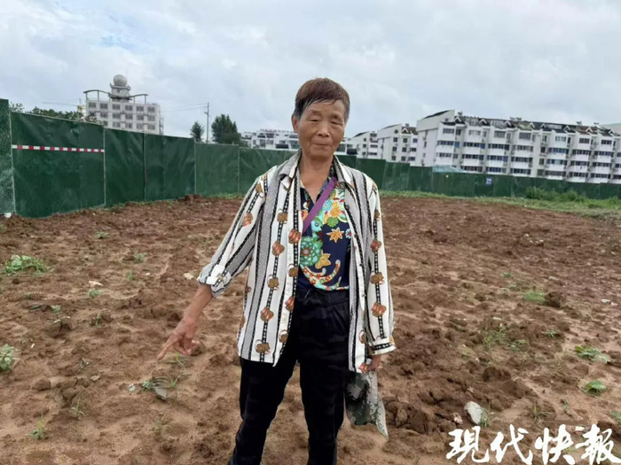 发现陶壶的田地