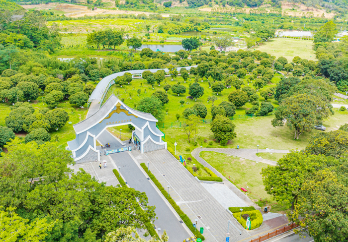 △杜阮凉瓜田园综合体。江门日报记者 刘淑君 摄