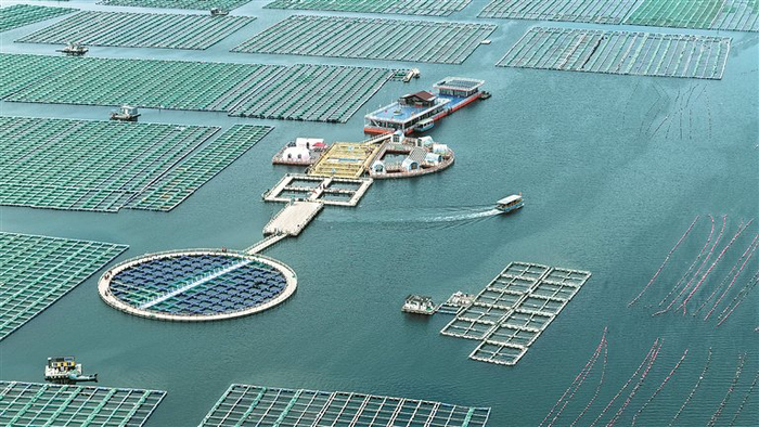 近日，在山东省荣成市桑沟湾海洋牧场，渔民驾驶游船引导游客浏览海上美丽风光。图片来源：视觉中国