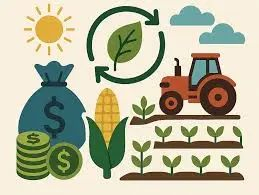 资料来源：卫报