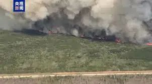 资料来源：BBC 新闻