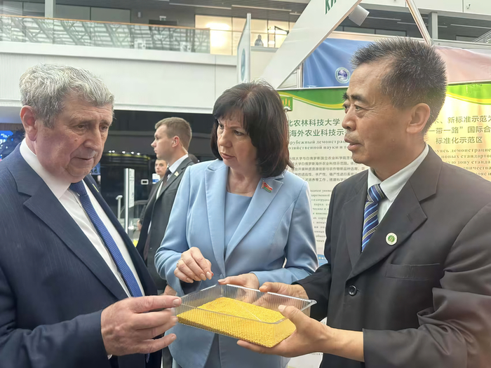 2025年6月5日，西北农林科技大学教授冯佰利在白俄罗斯举办的展会上向白俄罗斯议长等人介绍米脂小米。受访者供图