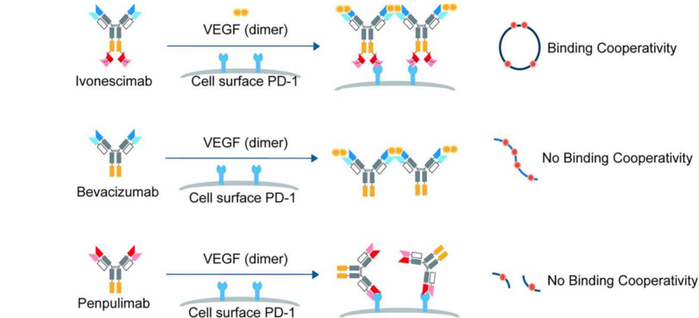 资料来源：iScience